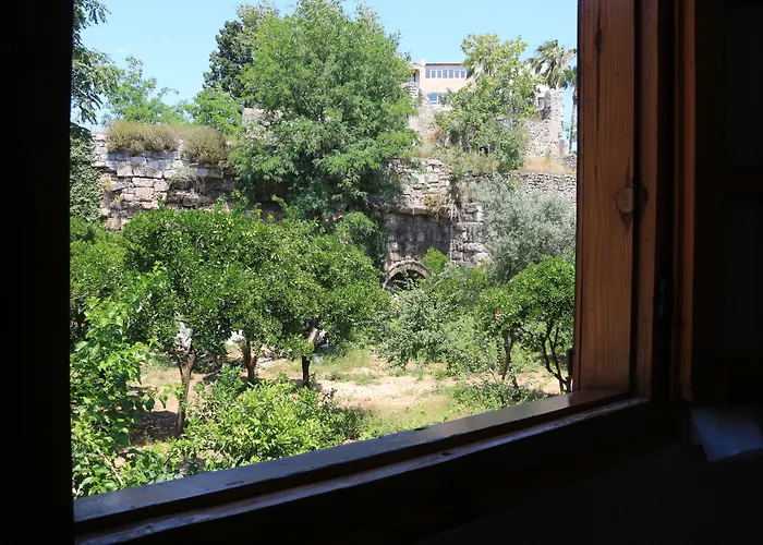 Otel Wood House